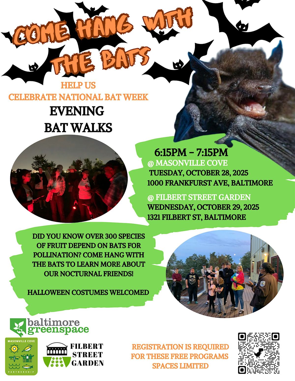 Bat Walk, 29 October | Event in Baltimore | AllEvents