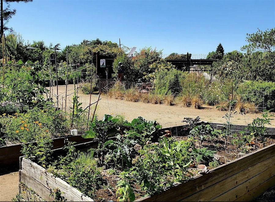 Bay Area Therapist Meetup, 1 June | Event in Berkeley | AllEvents