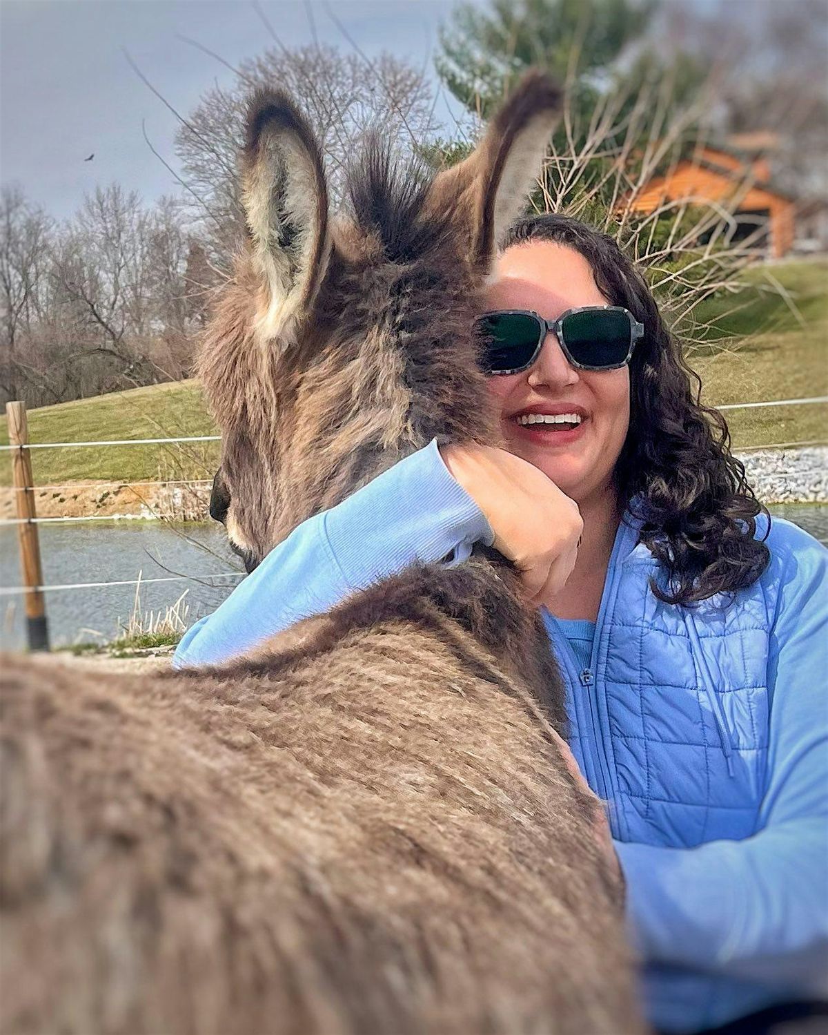 Private Donkey Encounter, 23 October | Event in Walton | AllEvents