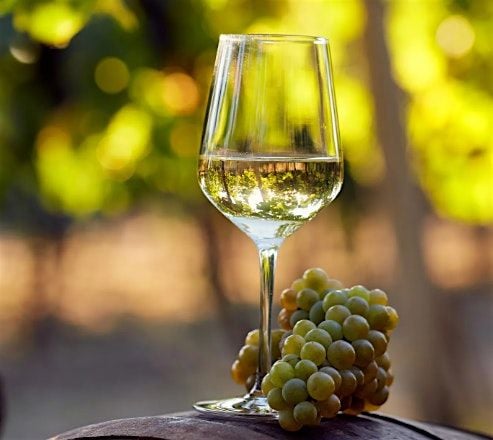Grapes of Gratitude, 20 September | Event in Springfield | AllEvents