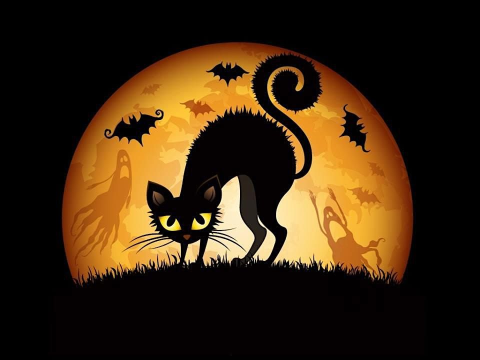 Halloween Donation Drive Saturday, October 25th, at Second Hand Purrs!!!!!!, 25 October | Event in Milwaukee