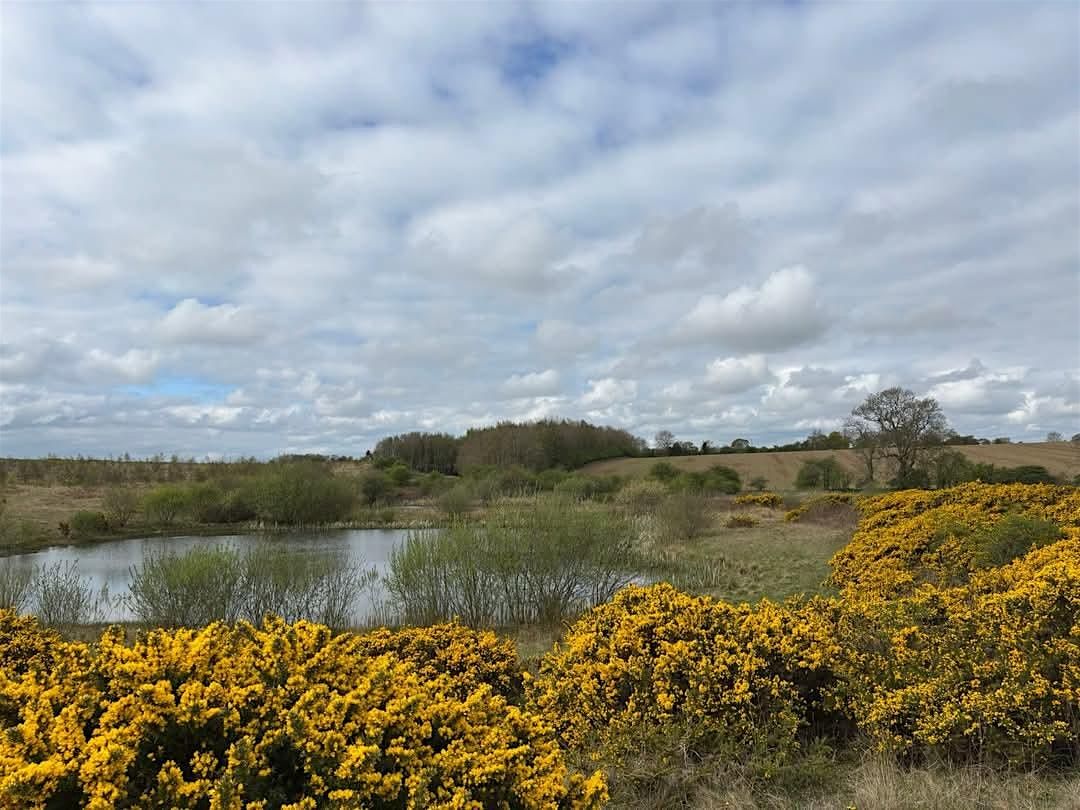 Fen Letch Nature Reserve Visit, 10 May | Event in Morpeth | AllEvents