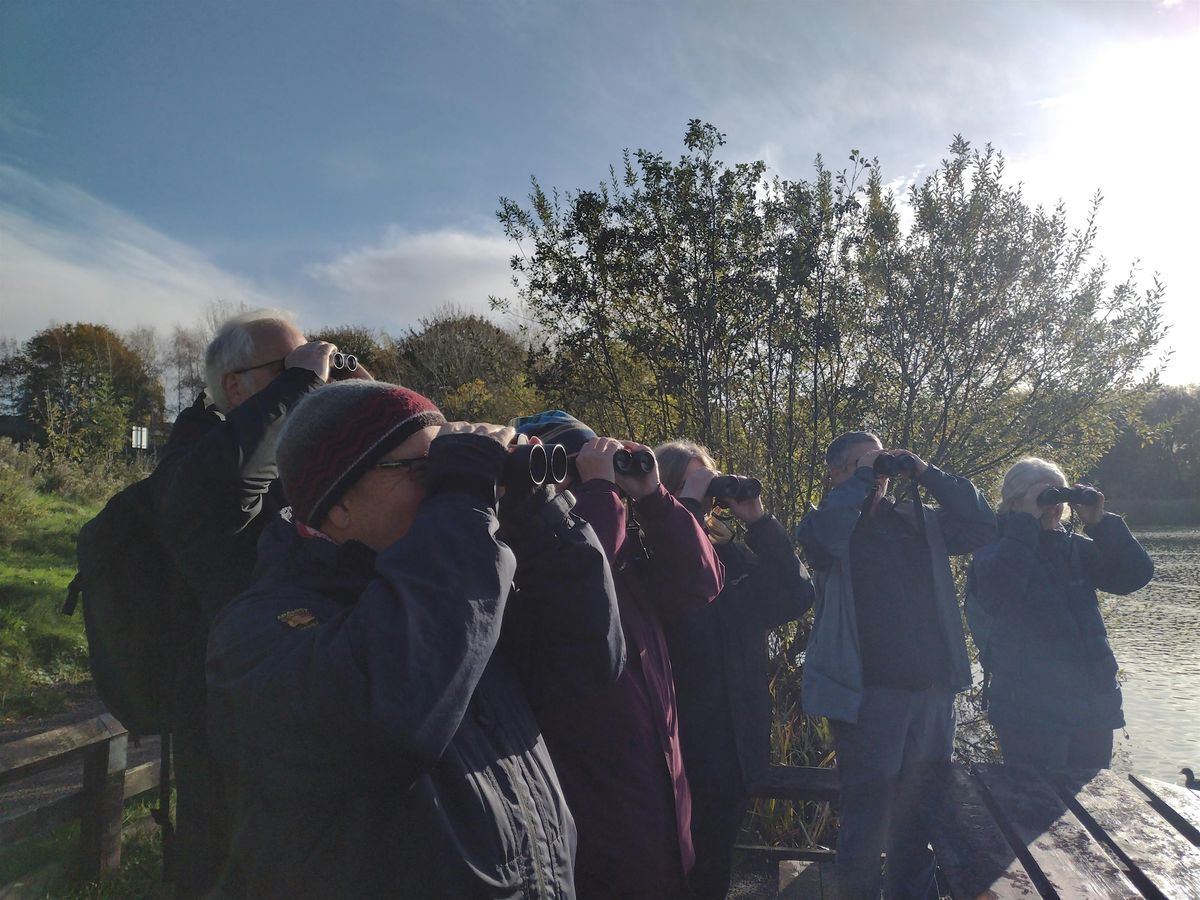 Birdwatching – Understanding More About Autumn Birds  (Wednesdays), 5 November | Event in Macclesfield | AllEvents