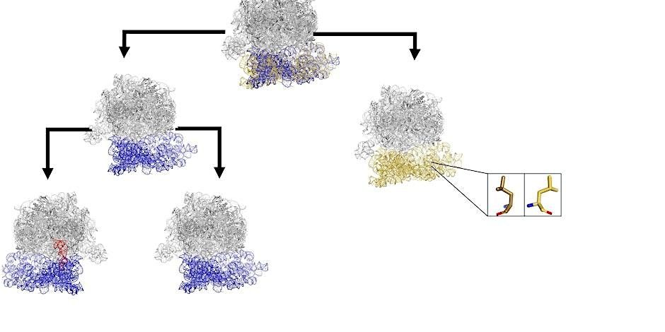 Conformational Ensembles: Statistical Structural Biology, 9 June | Event in San Francisco | AllEvents