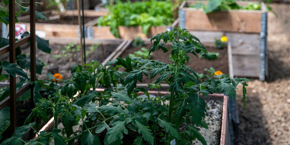 Brick by Brick: Growing Community and Food Security, 12 July | Event in Cincinnati | AllEvents