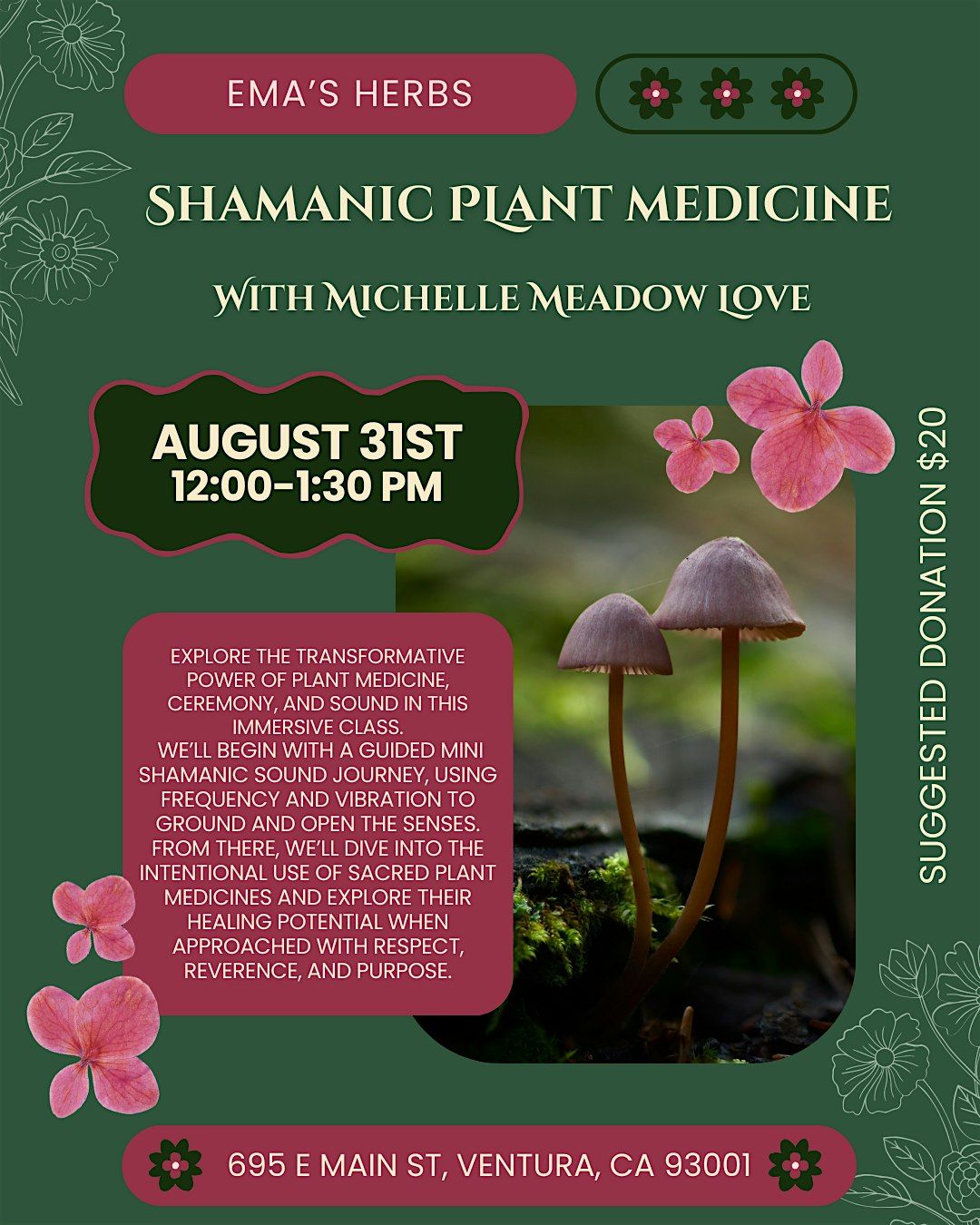 Shamanic Plant Medicine with Michelle Meadow Love | Event in Ventura | AllEvents