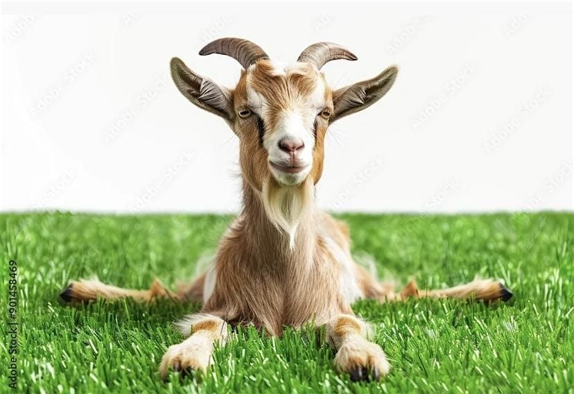 Goat Yoga at Pneuma Farms, 10 May | Event in Clanton | AllEvents