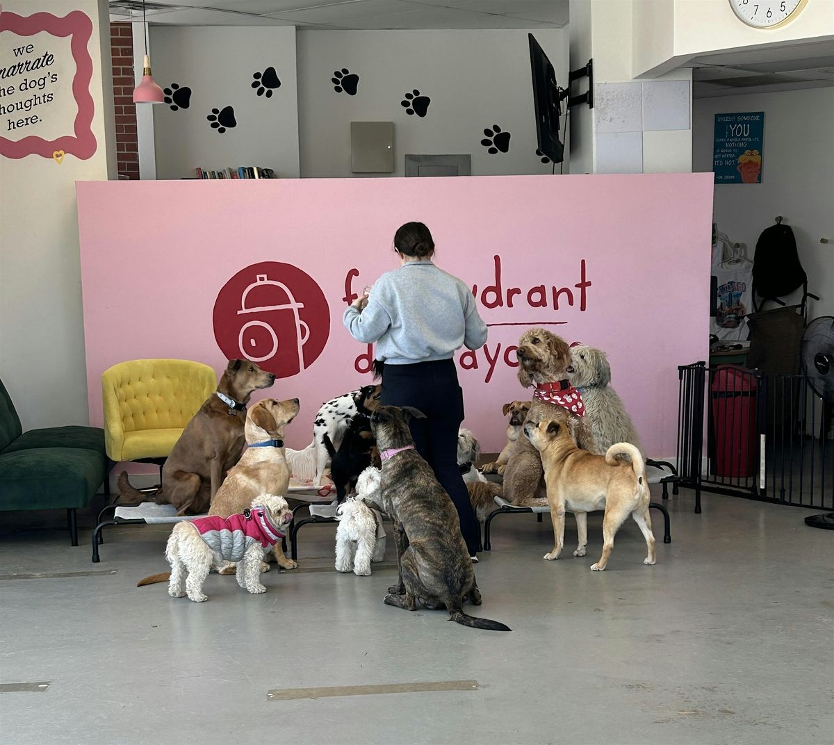 Lead the Way: A Leash Training Workshop for Pet Parents, 14 June | Event in Chicago | AllEvents