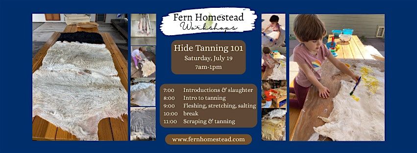 Hide Tanning 101, 19 July | Event in Penngrove | AllEvents