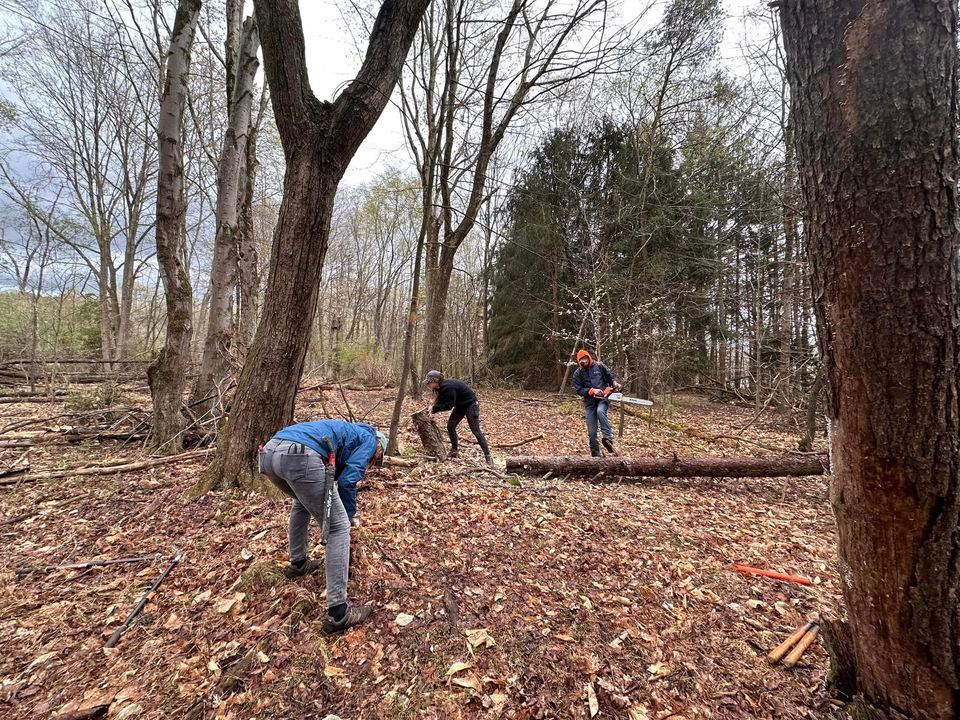 Crooked Creek Horse Park Trail Maintenance Weekend (June) , Crooked