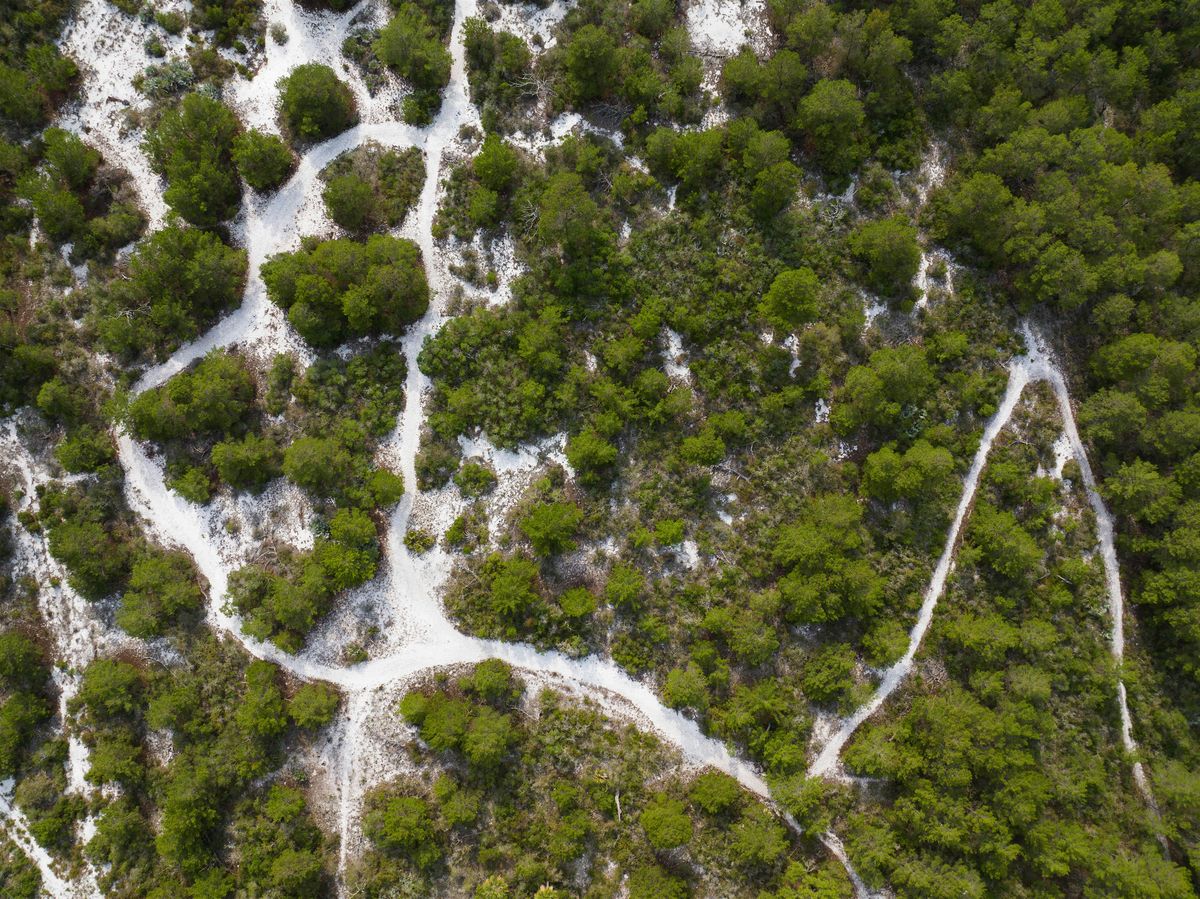 Florida Scrub Nature Walk : Exploring an Ancient Ecosystem, 24 September | Event in Hobe Sound | AllEvents