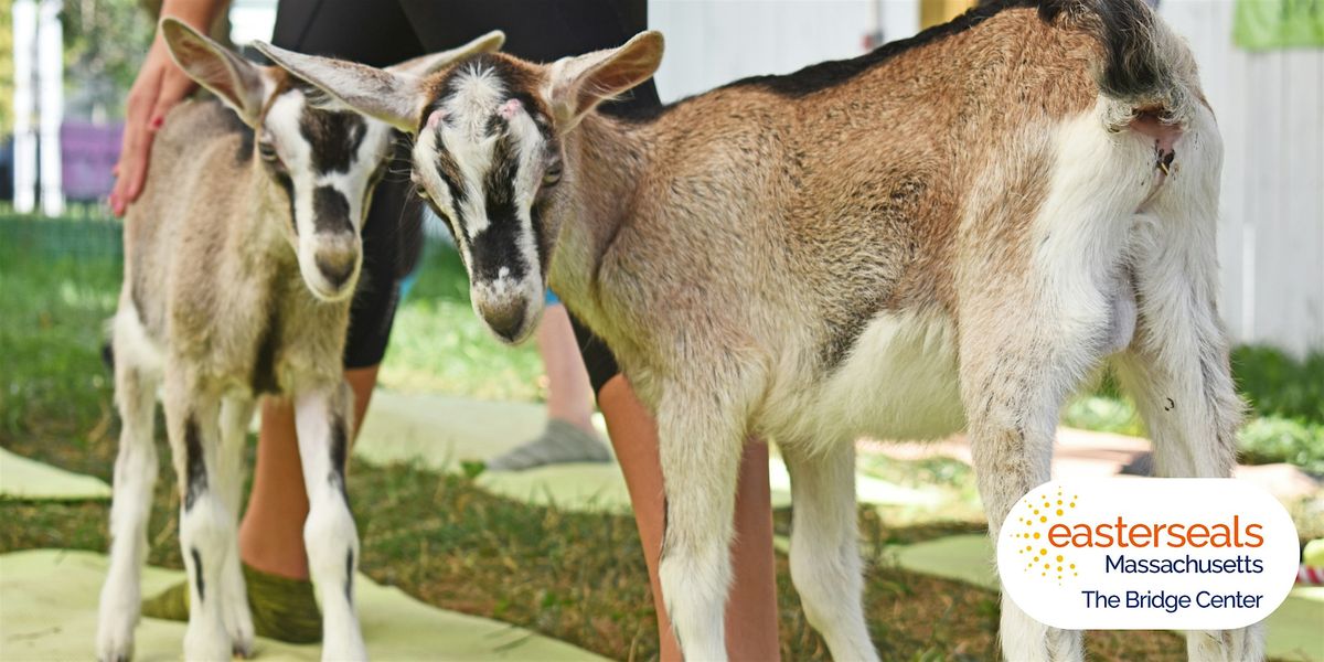 Wellness in Motion: A Family Yoga Adventure with Goats & Sheep, 30 July | Event in Bridgewater | AllEvents