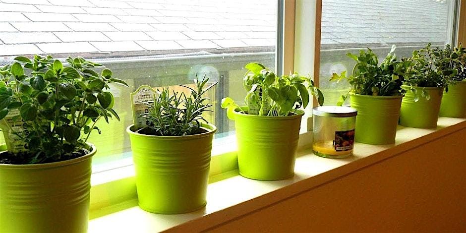 Indoor and Container Gardening 101, 5 July | Event in Silver Spring | AllEvents