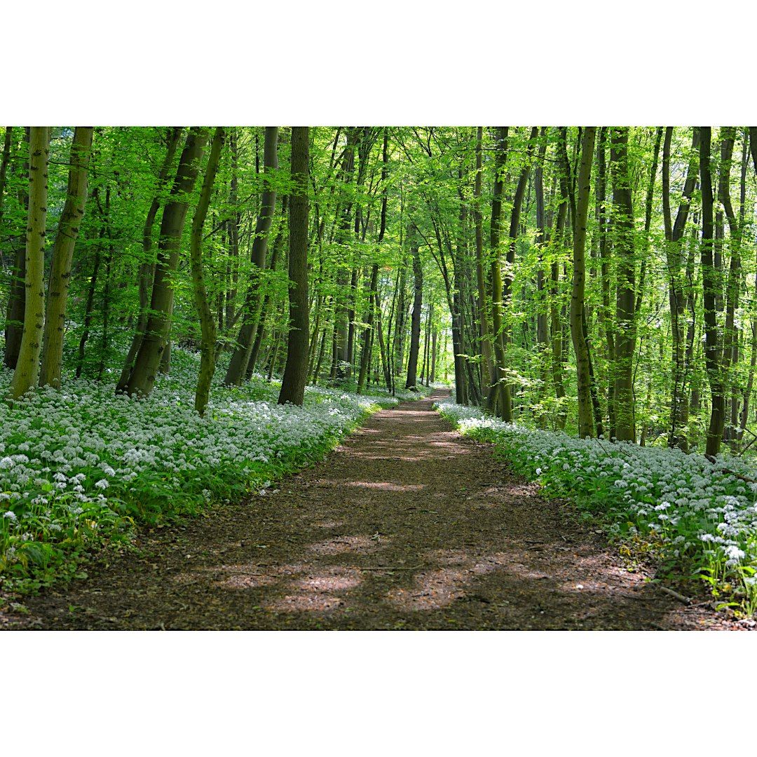 Passport to Parks: Caleb Smith, Family Program, $4 per person upon arrival, 16 August | Event in Smithtown