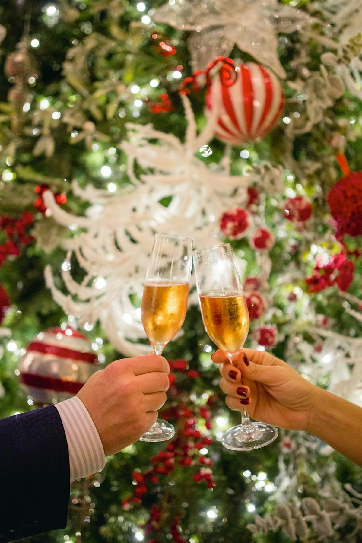 Floral & Flutes, 19 December | Event in Westlake Village | AllEvents