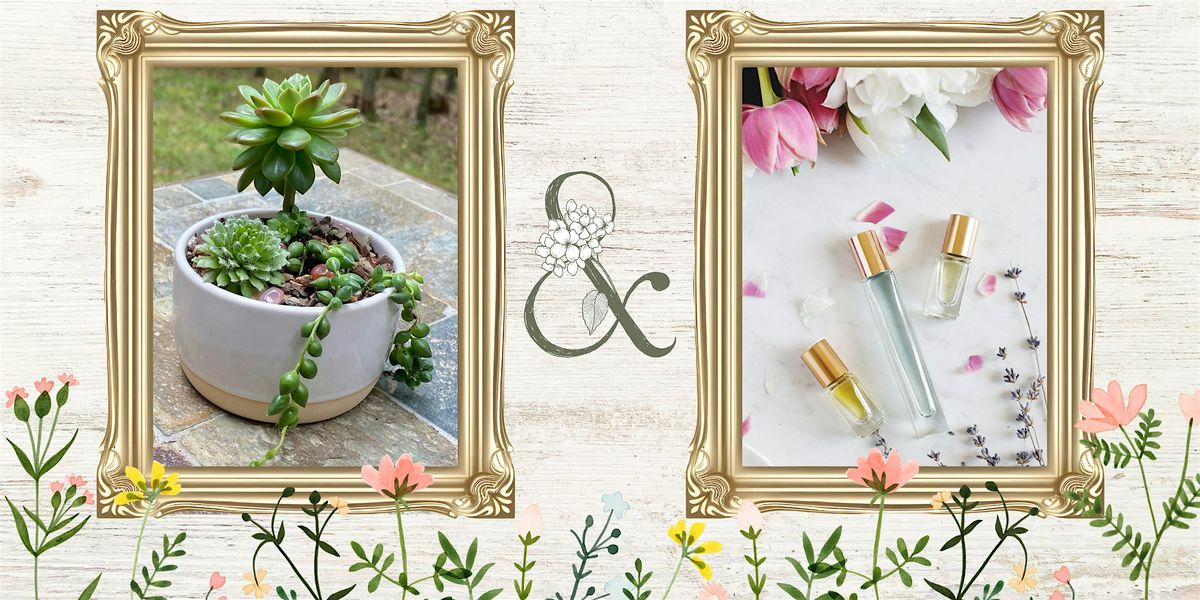 Succulents & Scents: A DIY Botanical Experience | Event in Keymar | AllEvents