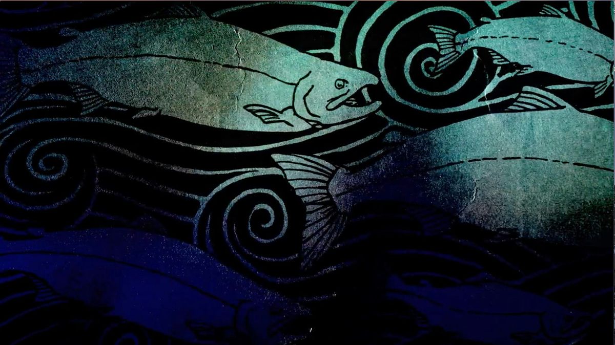 Celebrate Salmon, 12 August | Event in Bellingham | AllEvents