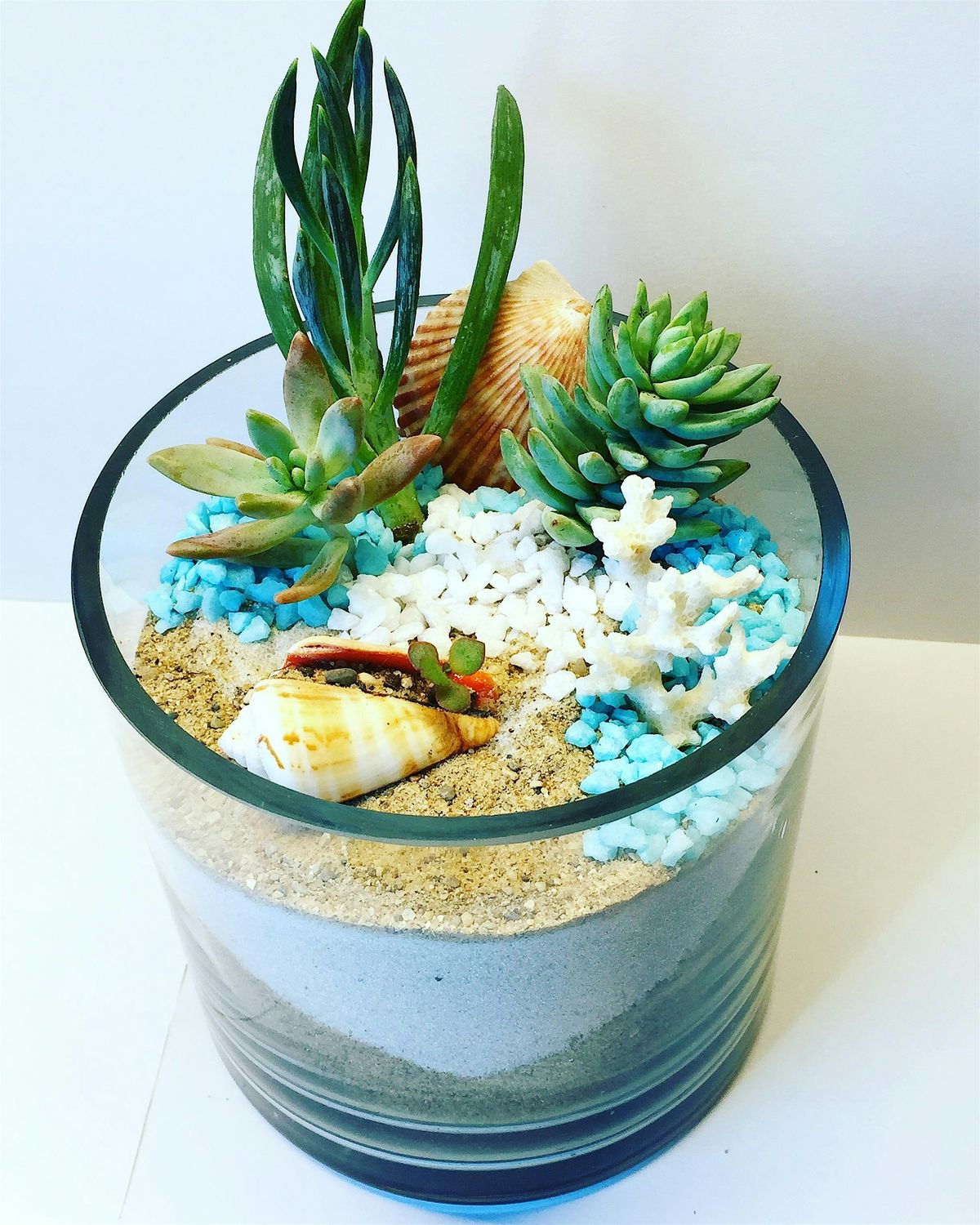Plant Nite: Make a Succulent Terrarium, 25 June | Event in snohomish | AllEvents
