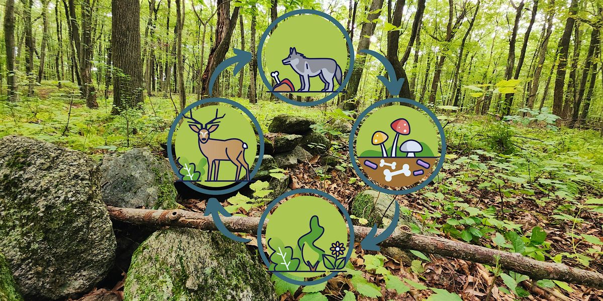 Web of Life, 23 August | Event in Ansonia | AllEvents
