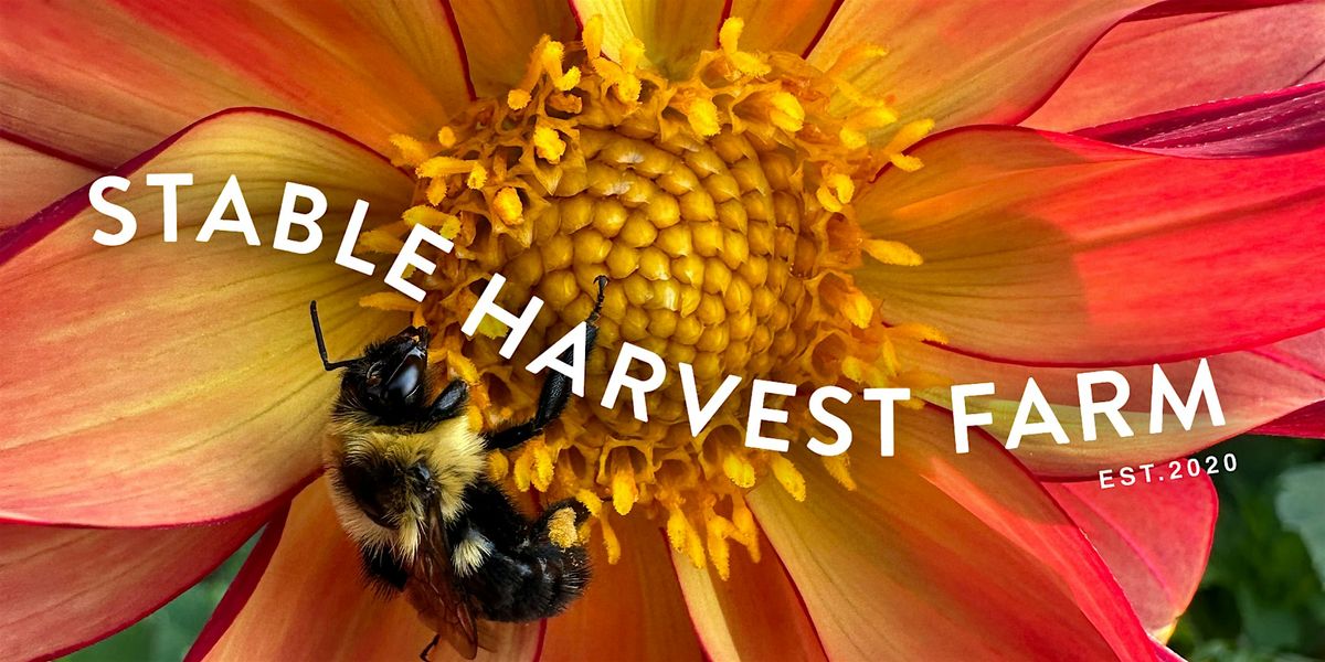 Bee Camp: Buzz & Learn (Free for All Ages 8+), 24 June | Event in Langley | AllEvents