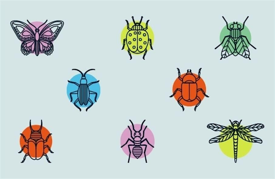 Bugs: Tiny Tots Program (Ages 3-5), $4 per child, 6 August | Event in West Hempstead | AllEvents