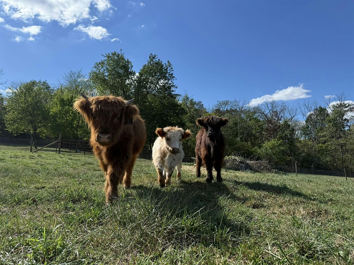 Brews & Moos GFFM!, 29 November | Event in Middletown | AllEvents