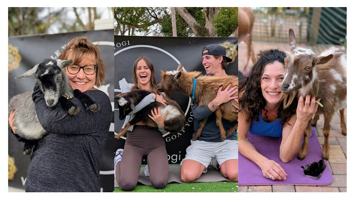 Goat Cuddling at Armature Works - All Ages, 7 December | Event in Tampa | AllEvents