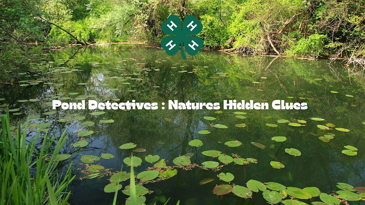 Pond Detectives : Natures Hidden Clues For ages 8-14, 22 July | Event in Powells Point | AllEvents