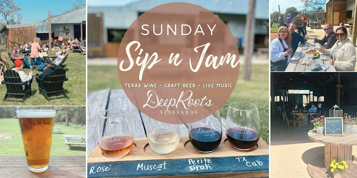 Wine tastings, craft beer,  & LIVE MUSIC by Scott Byers -Sunday Sip & Jam, 20 July | Event in Plantersville