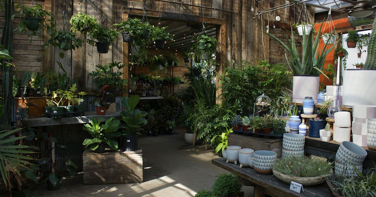 Boda Clay Paint-A-Planter Workshop with Flowers & Weeds - June 29, 2025, 29 June | Event in St. Louis