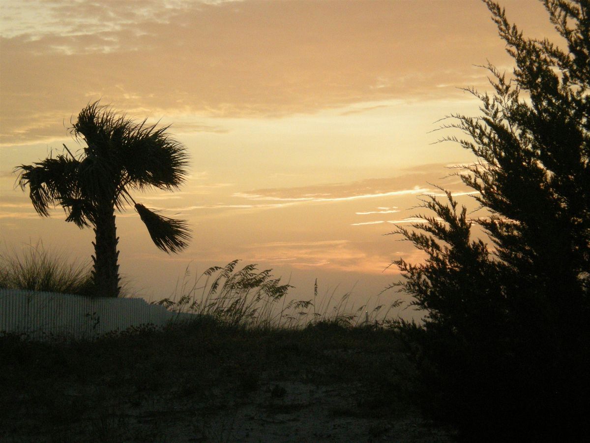 Bald Head After Dark (2025) | Event in Bald Head Island | AllEvents