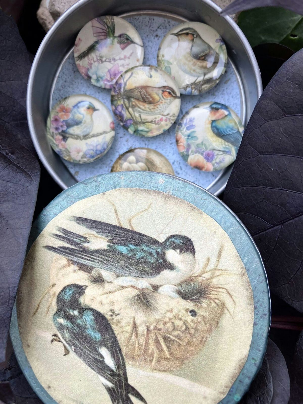 DIY Bird Themed Magnet Gift Set- Art Class, 11 September | Event in Schenectady | AllEvents