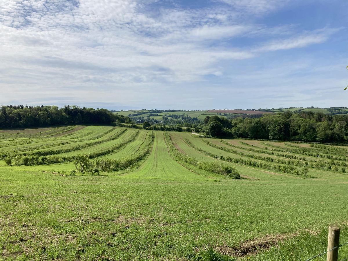 Perennial crops and agroforestry, 15 February | Event in Bath | AllEvents