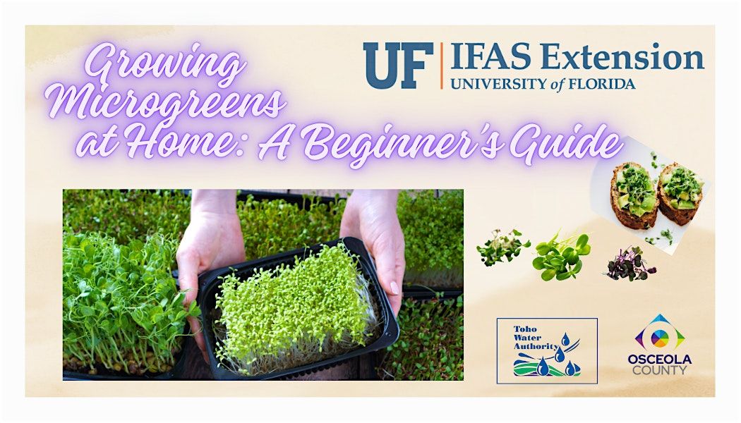 Growing Microgreens at Home – A Beginners Guide, 9 April | Event in Kissimmee | AllEvents