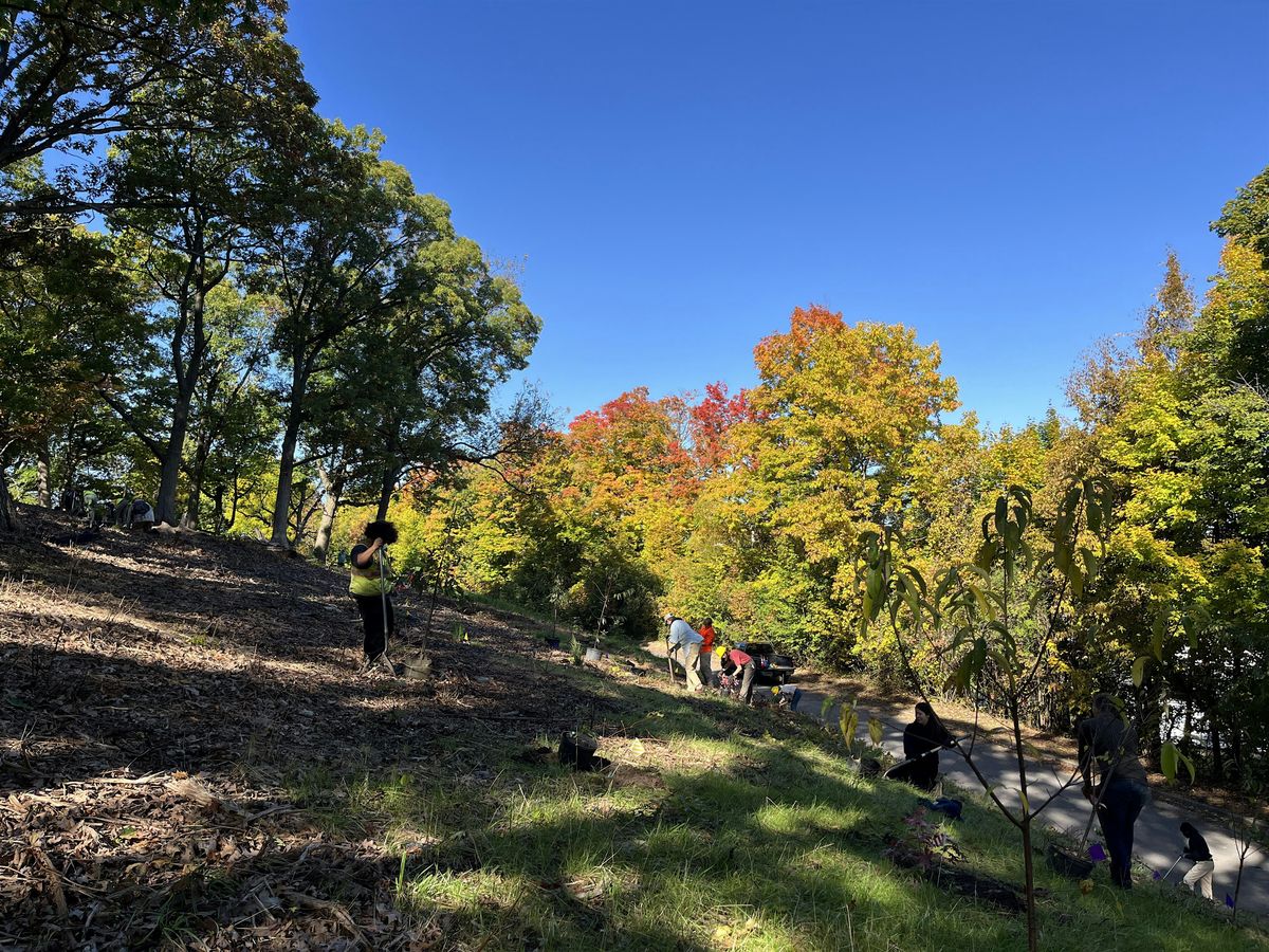 Schiller Park Community Tree Planting, 1 November | Event in Syracuse | AllEvents