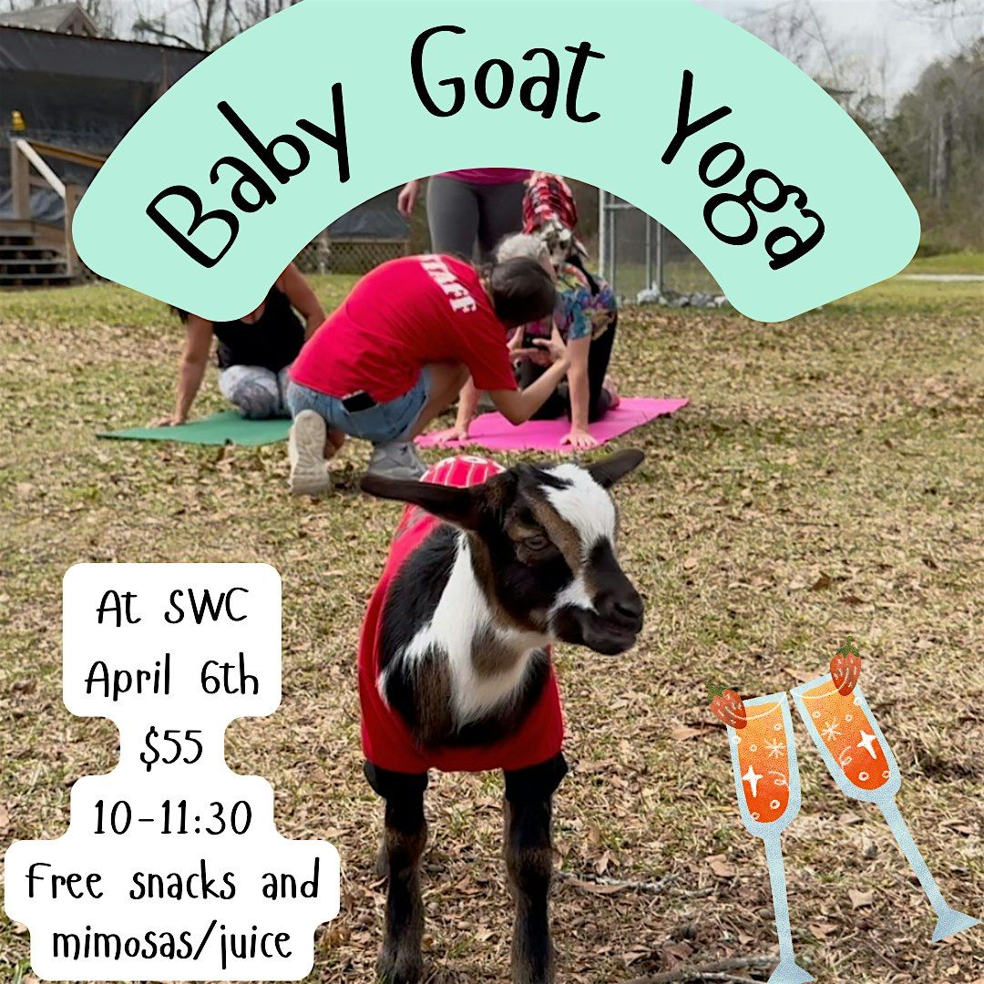 Baby Goat Yoga, 4 May | Event in Molino | AllEvents