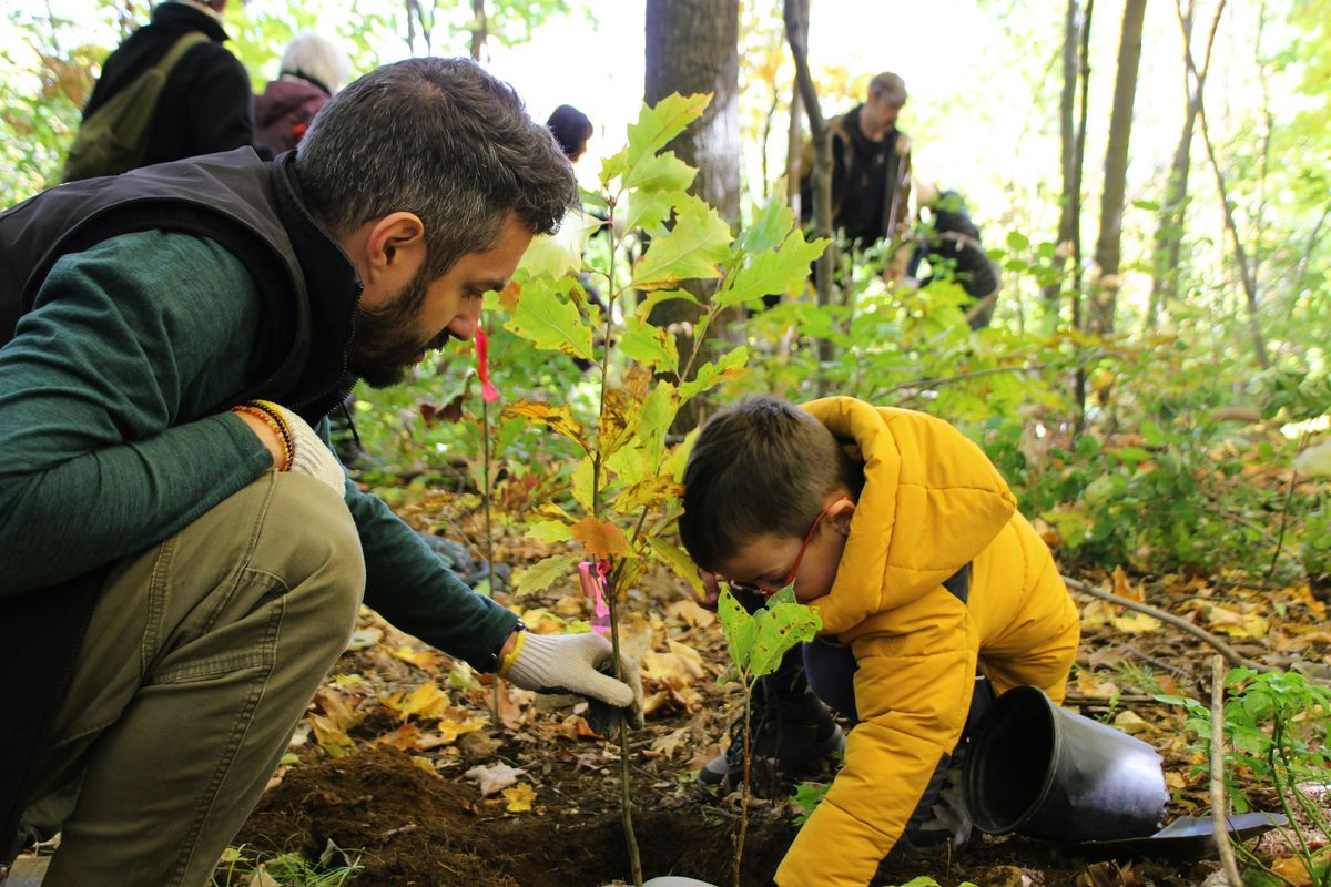 Plantation d'arbres et arbustes indigènes/Planting native trees and shrubs, 25 October | Event in Montréal