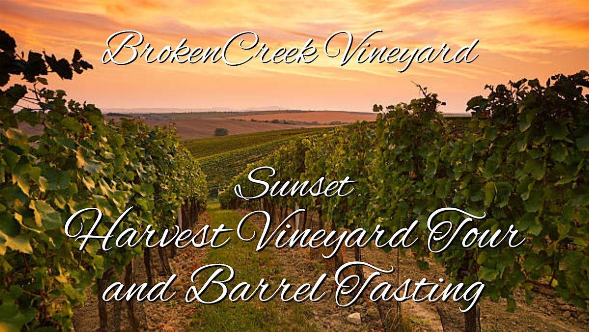 Sunset Harvest Vineyard Tour/Barrel Tasting at Broken Creek Vineyard, 18 September | Event in Shrewsbury | AllEvents