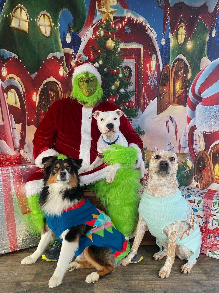 Pet Pictures with the Grinch! , 16058 Spielman Rd, Williamsport, MD