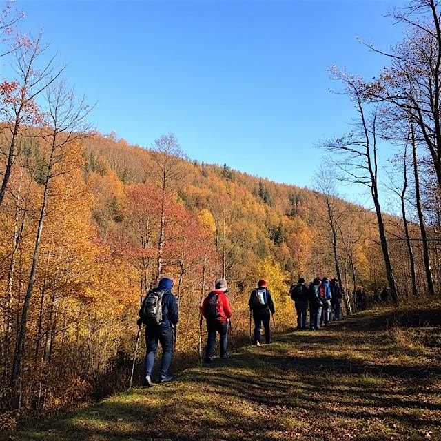 Merestead's Take-A-Hike Day 2025, 19 October | Event in Mount Kisco | AllEvents