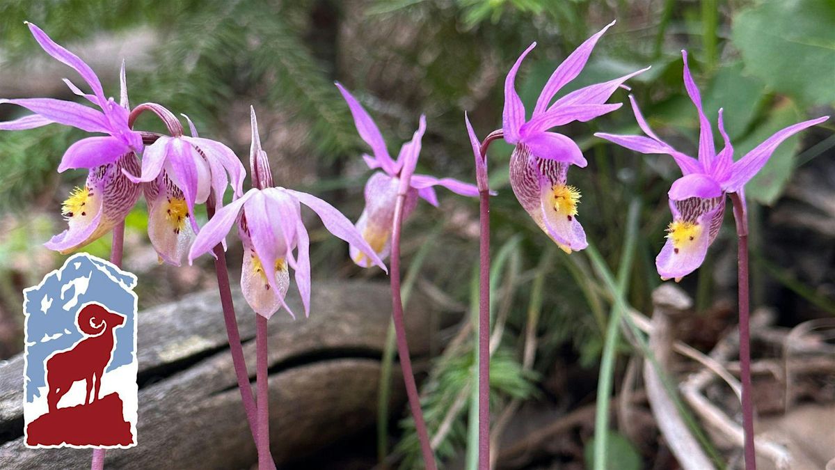 Native Orchids of Rocky Mountain National Park (Friday), 5 June | Event in Estes Park | AllEvents