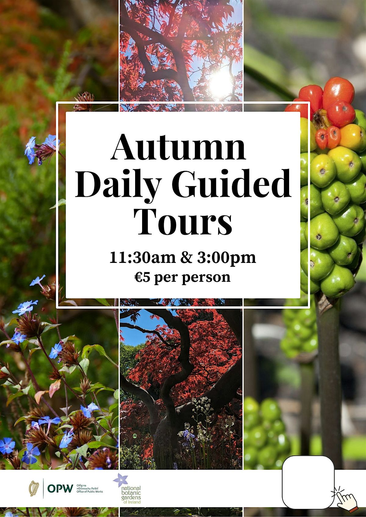 Autumn Daily Guided Tours | Event in Dublin 9 | AllEvents