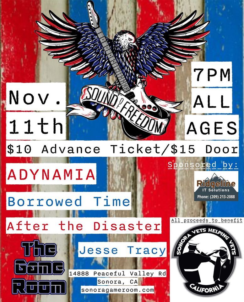 Sounds of Freedom Fundraiser for Sonora Vets Helping Vets, The Game