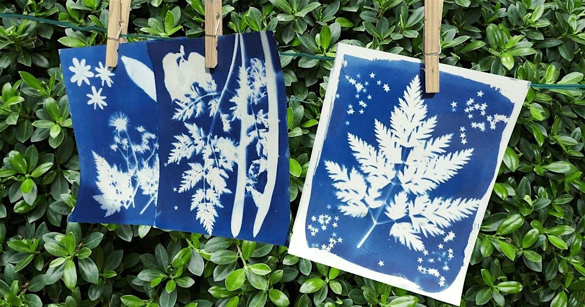 Cyanotype photography workshop in Marlay House with Jane Cummins, 4 June | Event in Rathfarnham | AllEvents