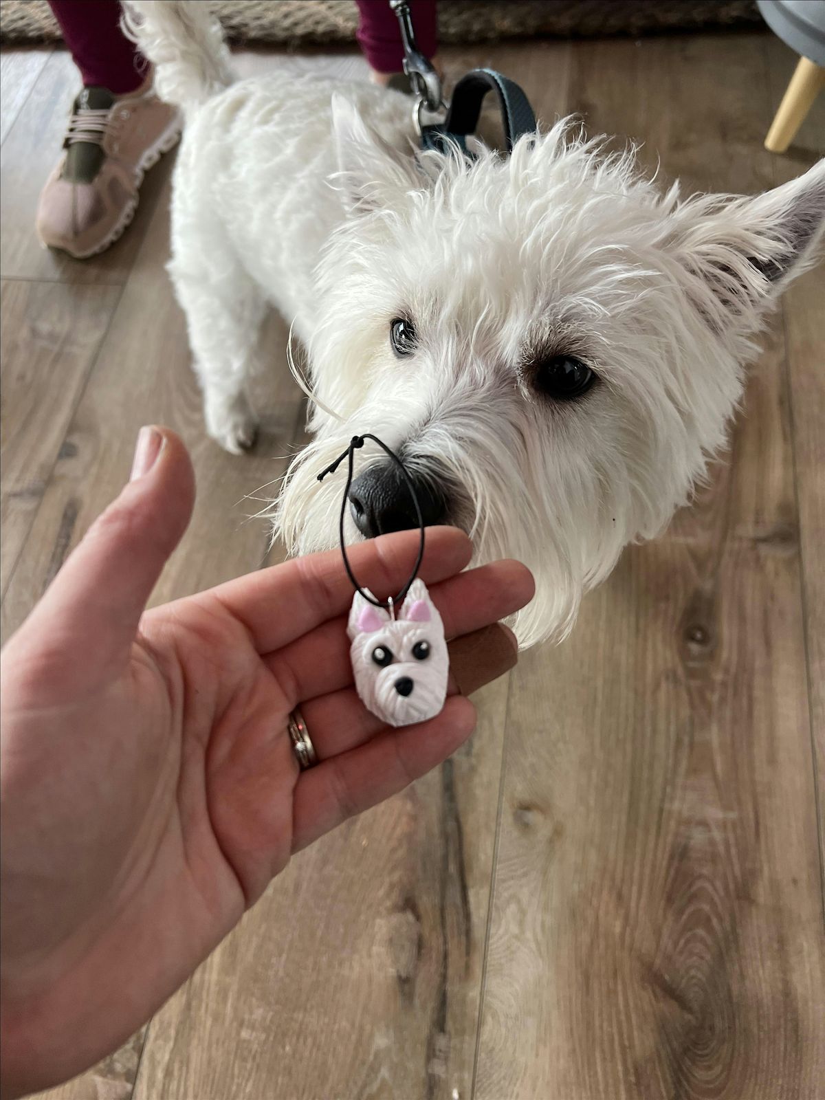 PET PORTRAIT WORKSHOP with Tiny Things by Bowen, 18 June | Event in Tulsa | AllEvents