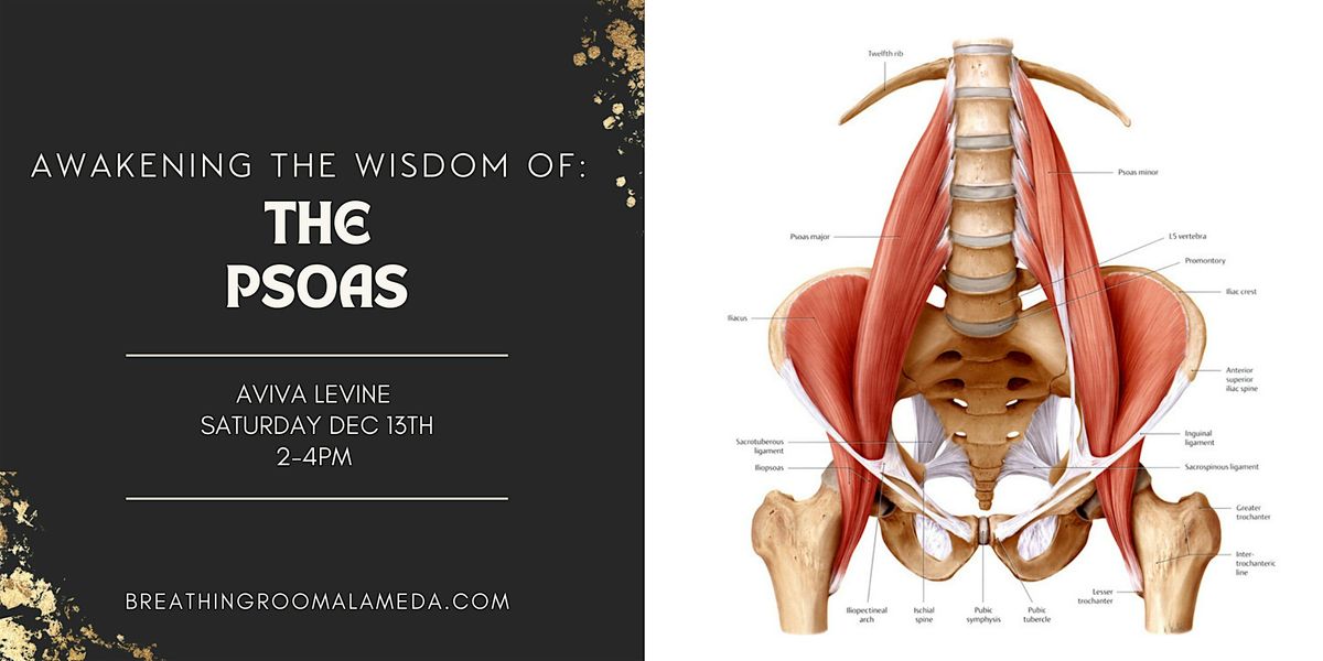 Awakening The Wisdom Of The Psoas, 13 December | Event in Alameda | AllEvents