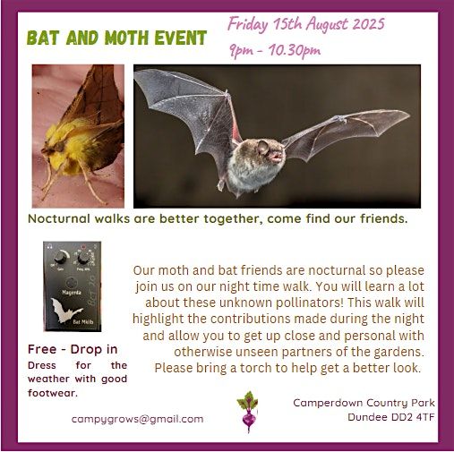 Bat and Moth Night, 15 August | Event in Dundee | AllEvents