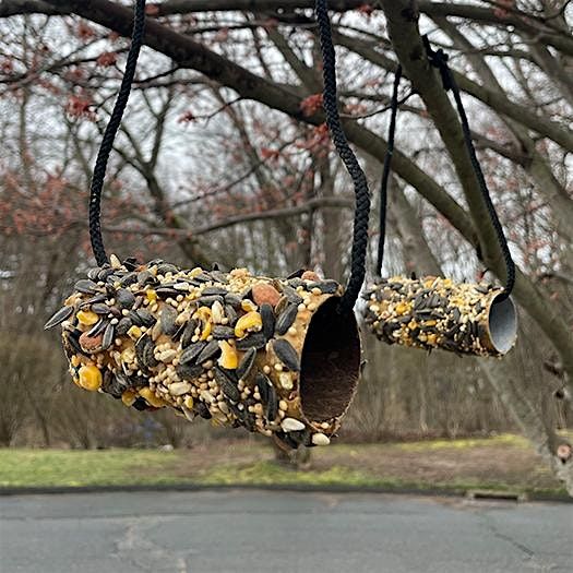 STEM Fun: Bird Feeders, 14 January | Event in Detroit | AllEvents