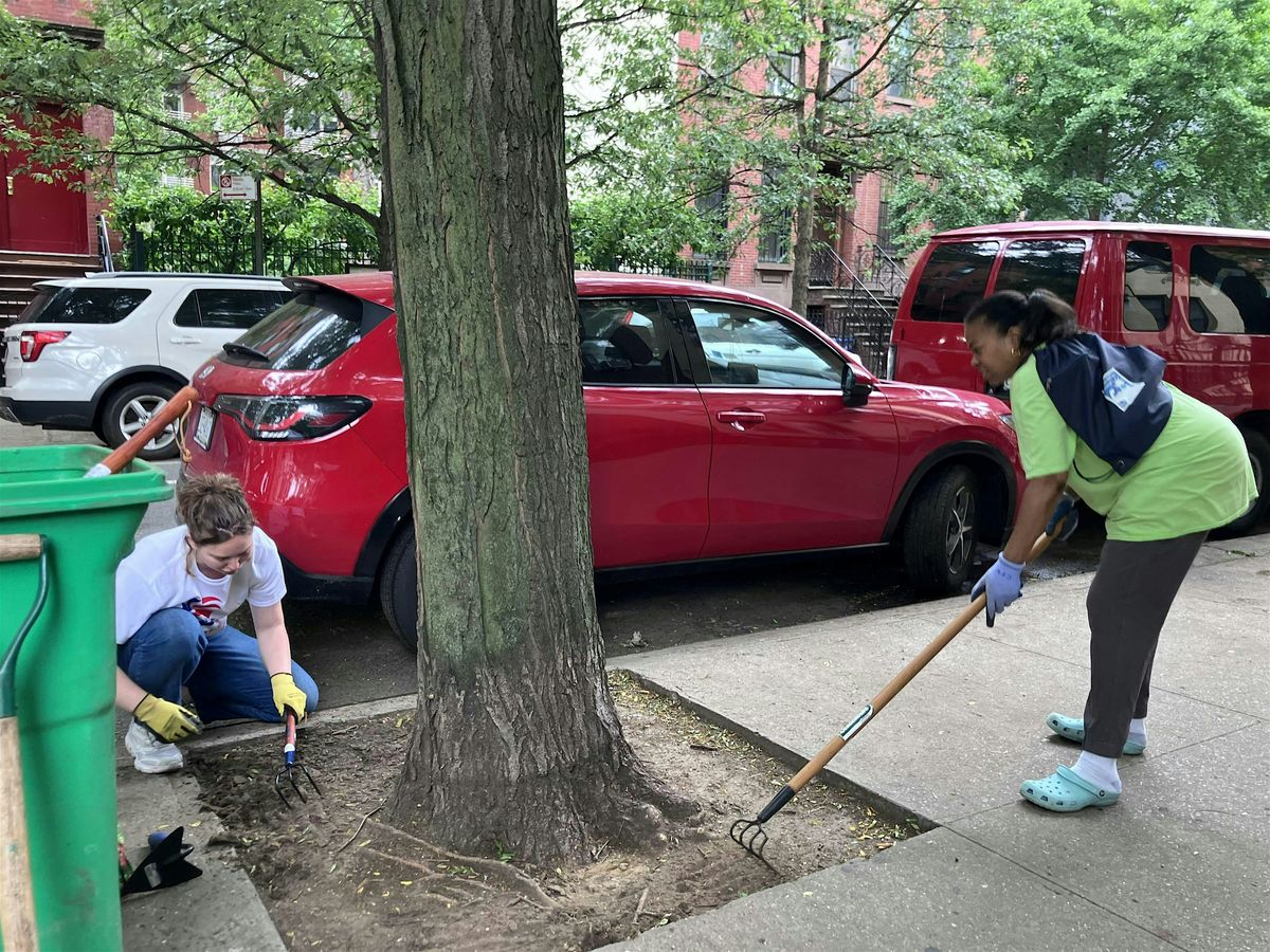 STC w/ Lex & 3rd Block Association, 7 December | Event in New York | AllEvents