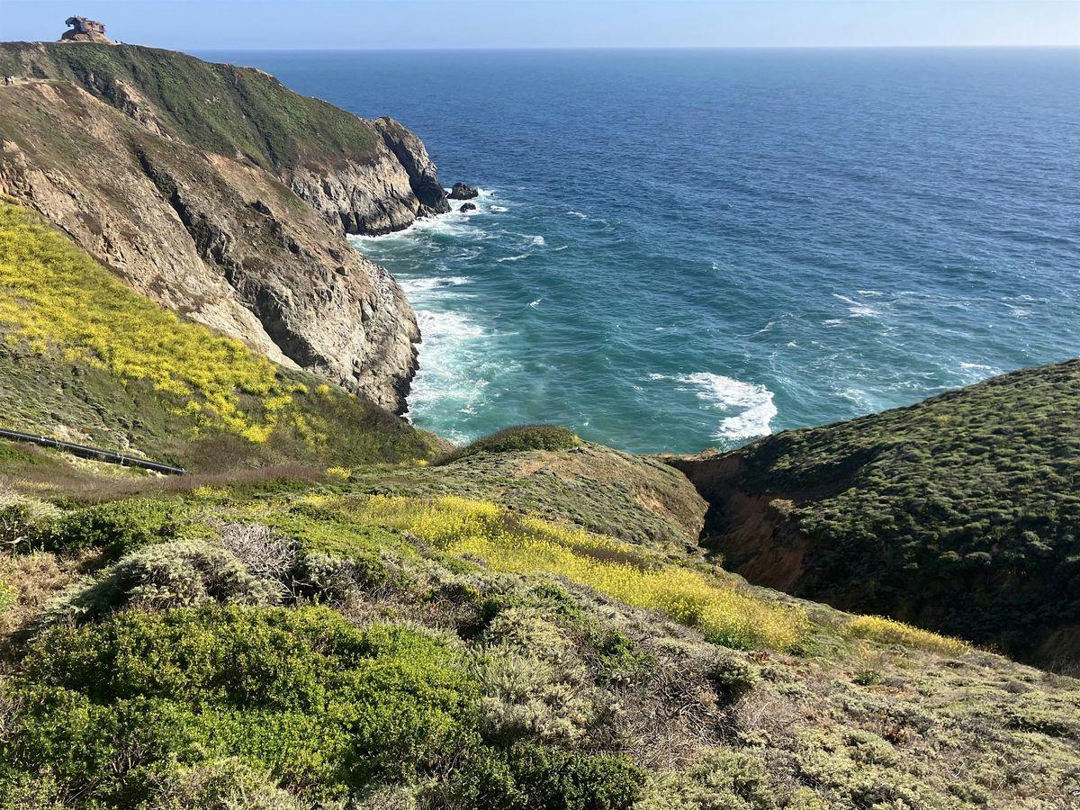 Nature Walk and Bird Count -- June, 28 June | Event in Montara | AllEvents